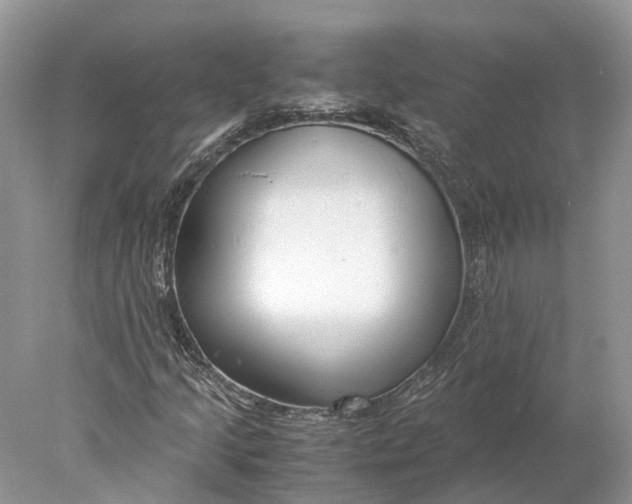 X0000078001205200611171811