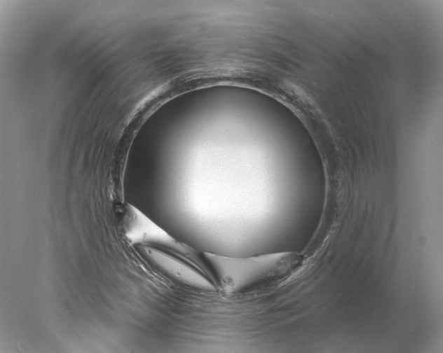 X0000078001210200611171811