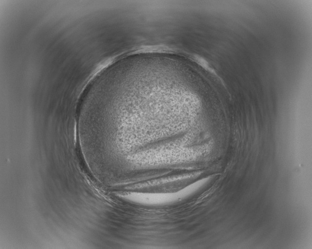 X0000078001221200611171812
