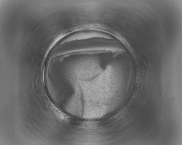 X0000078001224200611171812
