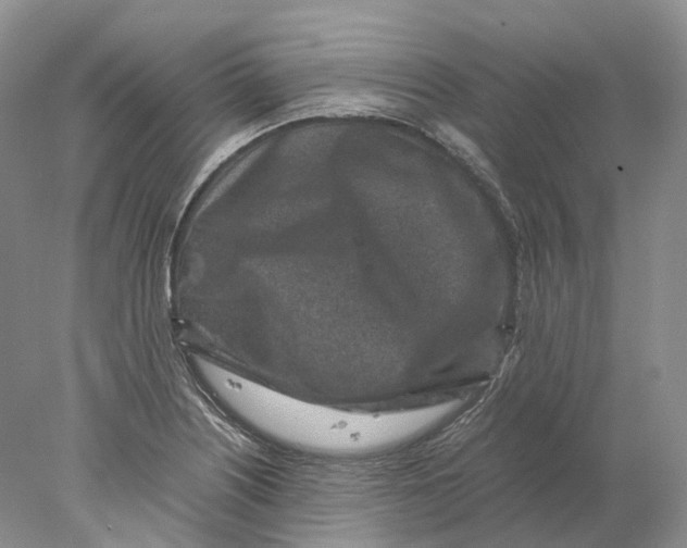 X0000078001226200611171812