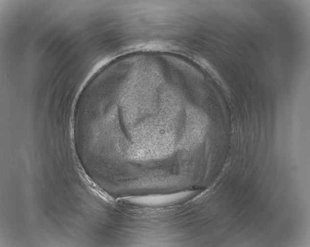X0000078001232200611171812