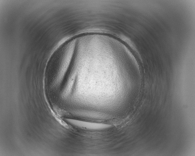 X0000078001237200611171812