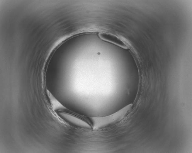 X0000078001238200611171812