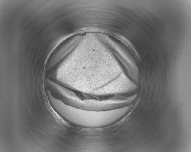 X0000078001244200611171812