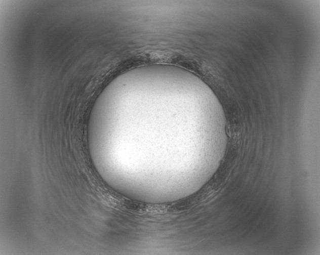 X0000078001249200611171811