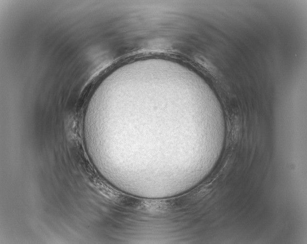 X0000078001258200611171811