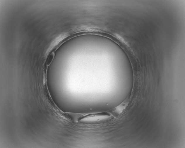 X0000078001269200611171811