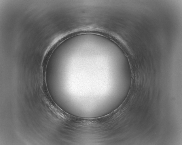 X0000078001270200611171811