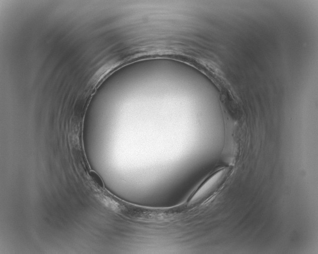 X0000078001273200611171811