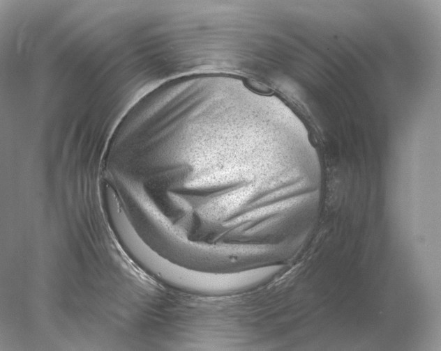 X0000078001284200611171811