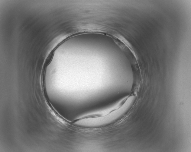 X0000078001293200611171811