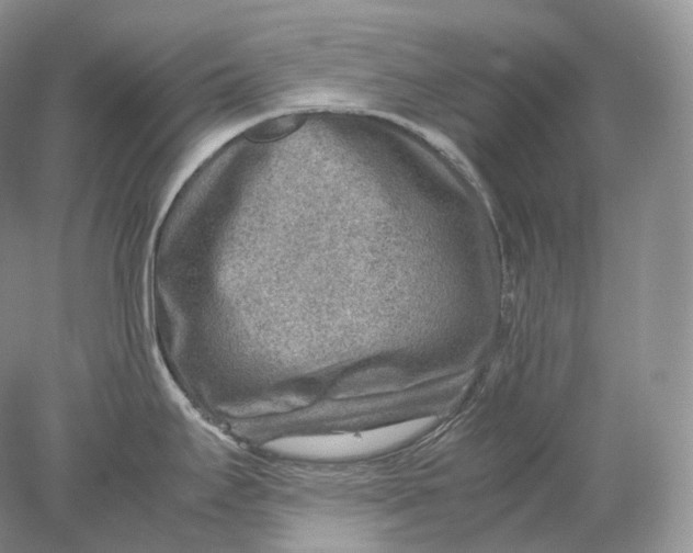 X0000078001295200611171811