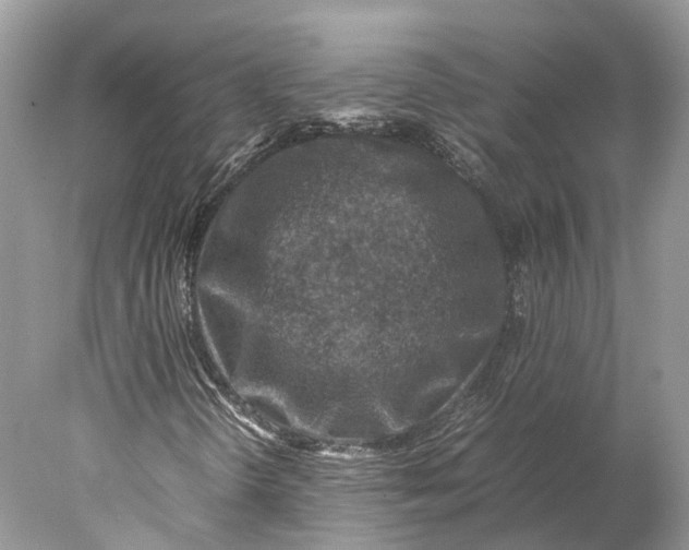 X0000078001298200611171810