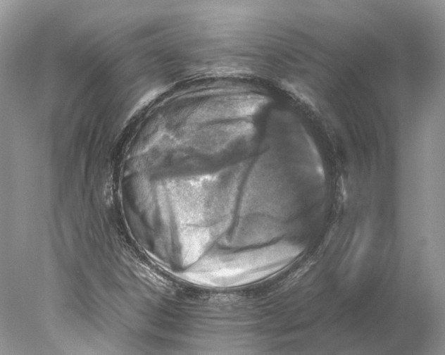 X0000078001306200611171810