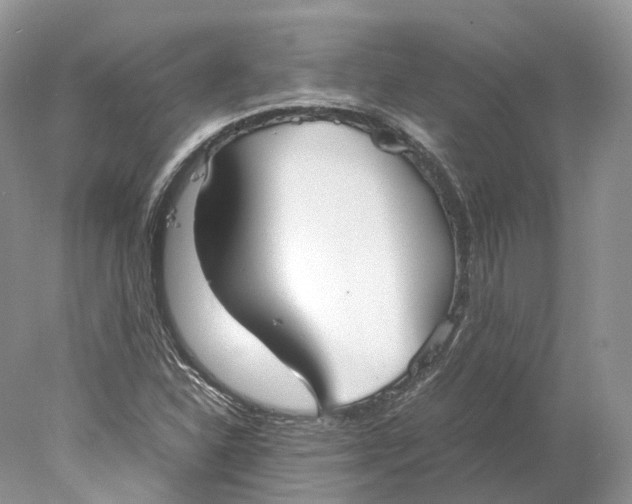 X0000078001310200611171810