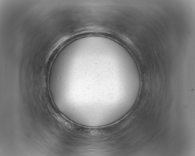 X0000078001318200611171810