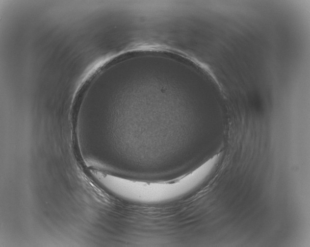 X0000078001319200611171810