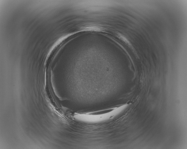 X0000078001323200611171810