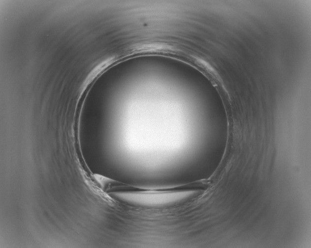 X0000078001330200611171810