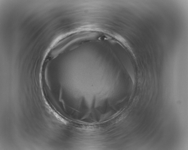 X0000078001334200611171810
