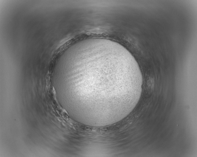 X0000078001350200611171810
