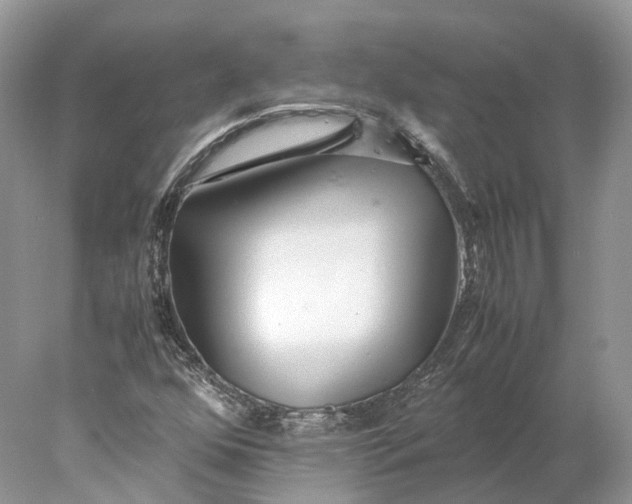 X0000078001352200611171810