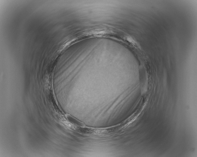 X0000078001353200611171810