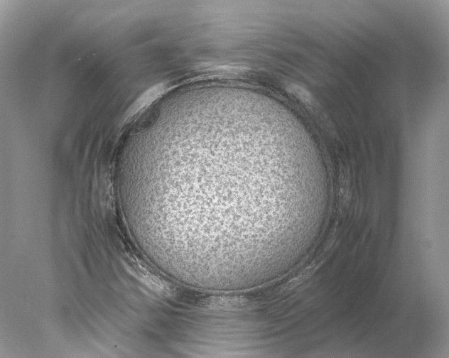 X0000078001354200611171810