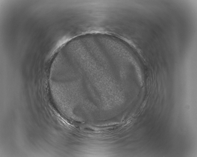 X0000078001359200611171809