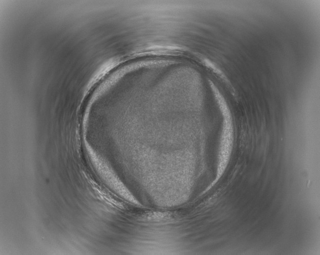 X0000078001362200611171809