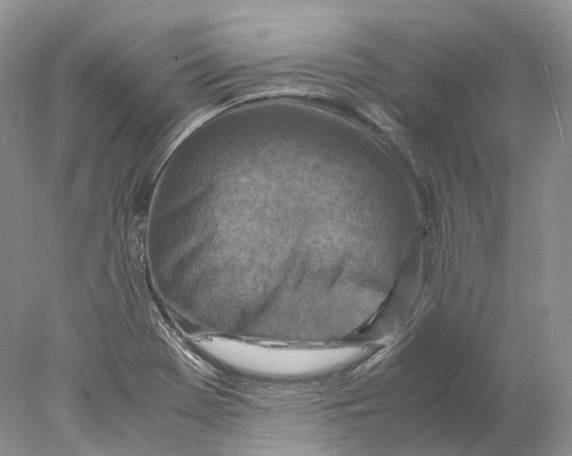 X0000078001369200611171809