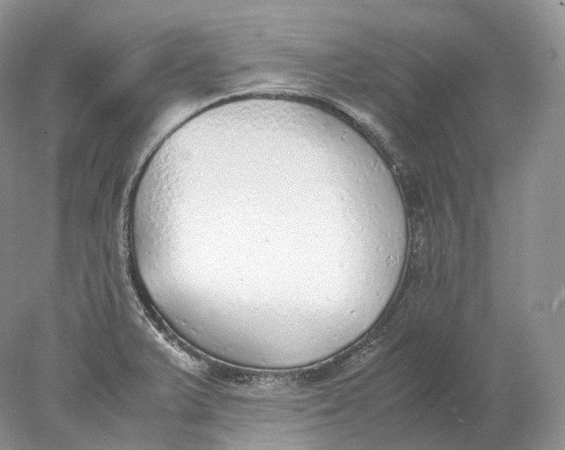 X0000078001375200611171809