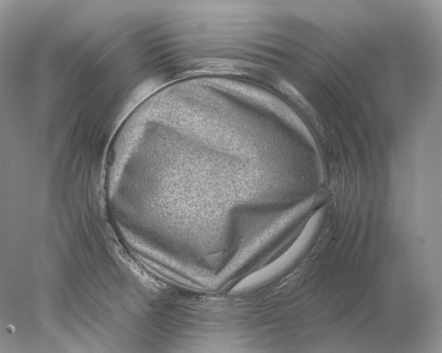 X0000078001378200611171809