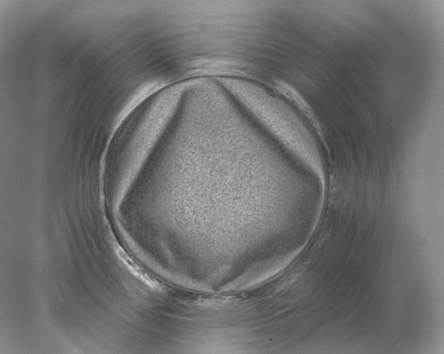 X0000078001386200611171809