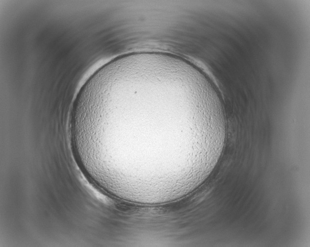 X0000078001387200611171809