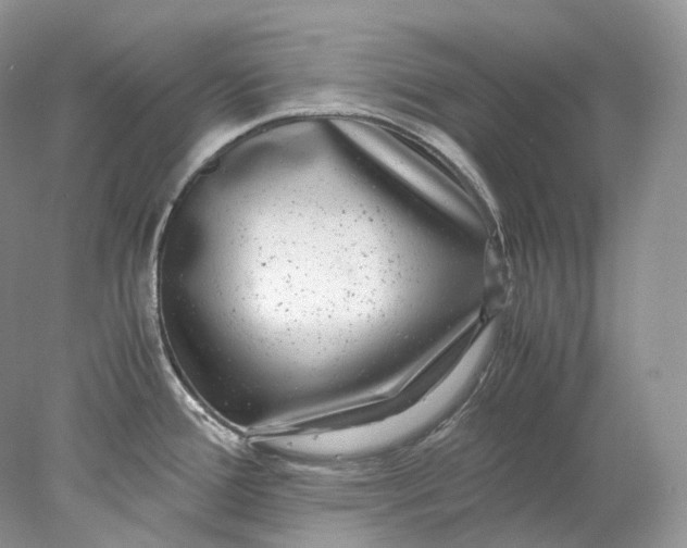 X0000078001388200611171809