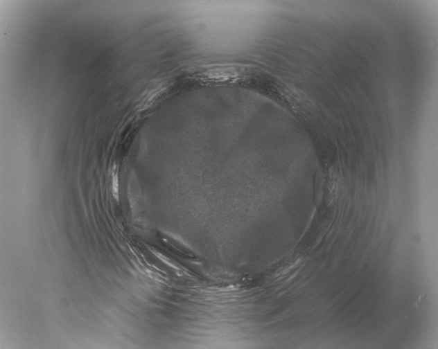 X0000078001394200611171808