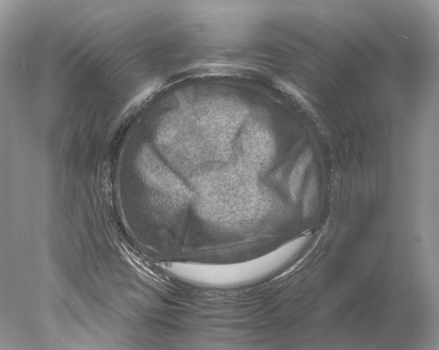 X0000078001403200611171808