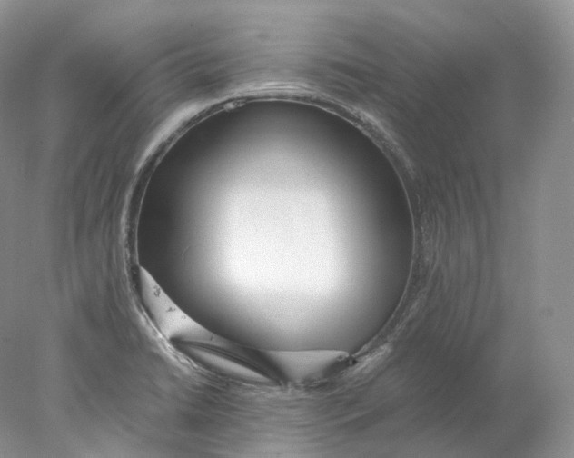 X0000078001422200611171809