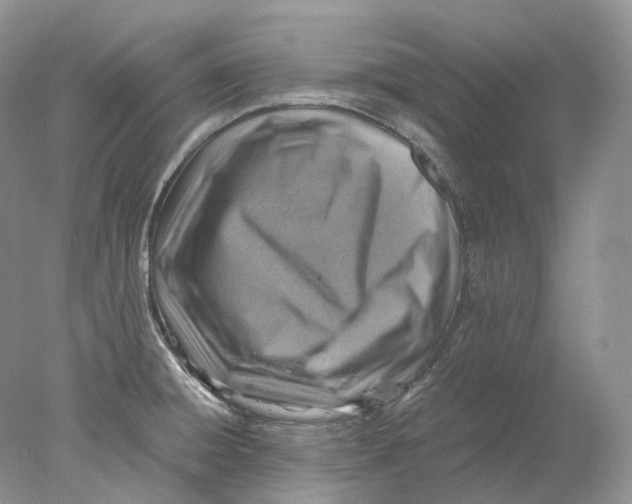 X0000078001428200611171809