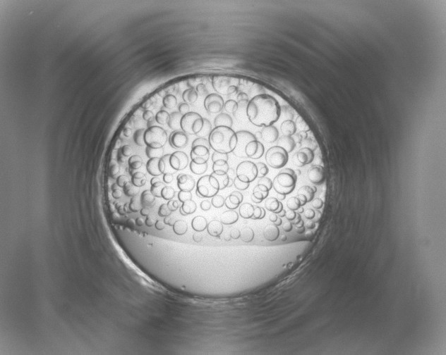 X0000078001432200611171809