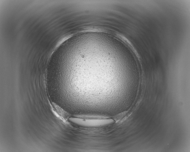 X0000078001433200611171809