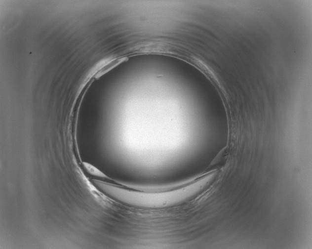 X0000078001434200611171809
