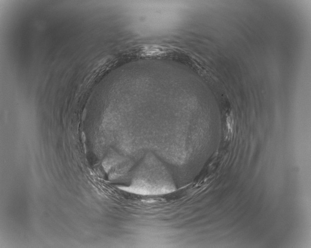 X0000078001441200611171808