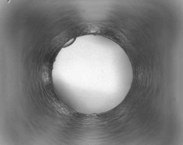 X0000078001442200611171808