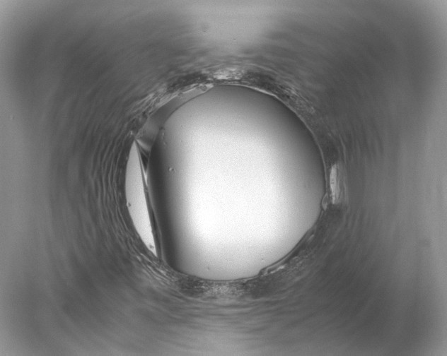 X0000078001443200611171808