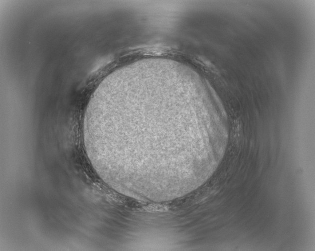 X0000078001446200611171808