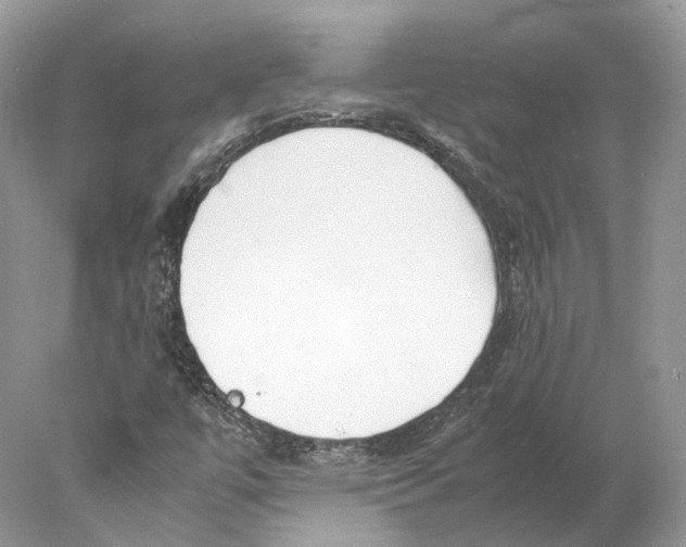 X0000078001447200611171808