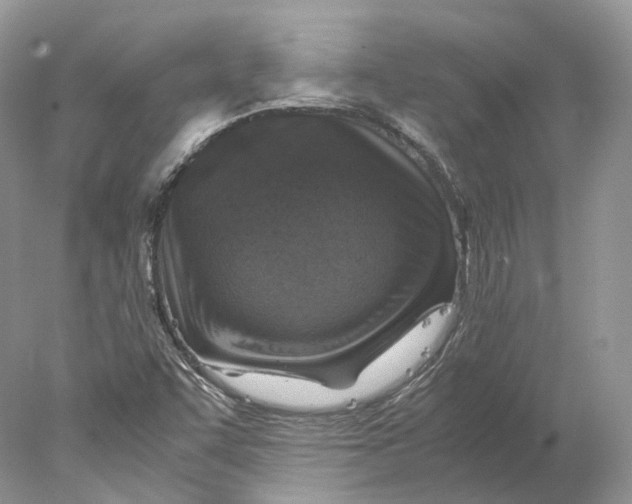 X0000078001455200611171808